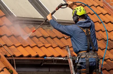 Démoussage et hydrofuge de toiture à Lacadée